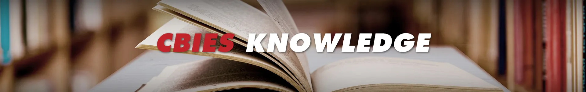 Efficient Strategies for Organizing and Storing Automotive Parts