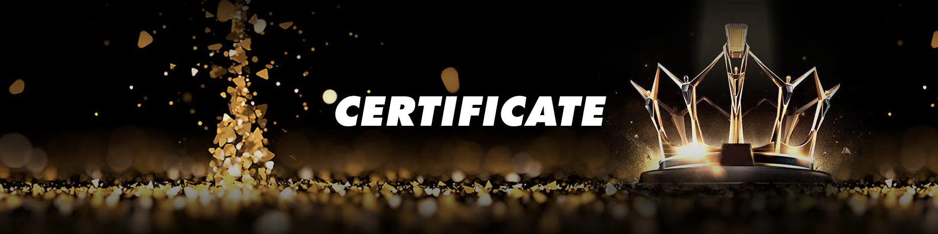 Value addes Service - Certificate