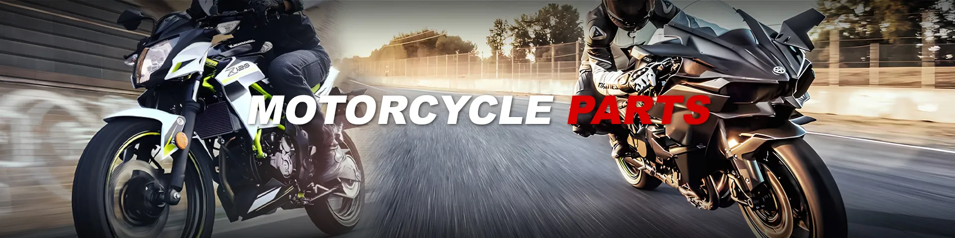 Motorcycle Parts