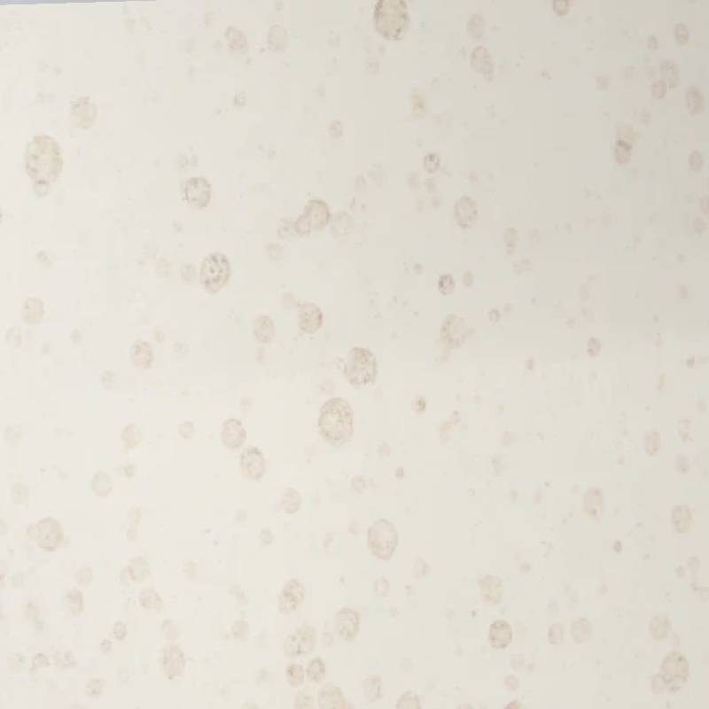 Current Market Trends for 5mm Float Glass Pricing and Cost Analysis Current Market Trends for 5mm Float Glass Pricing and Cost Analysis