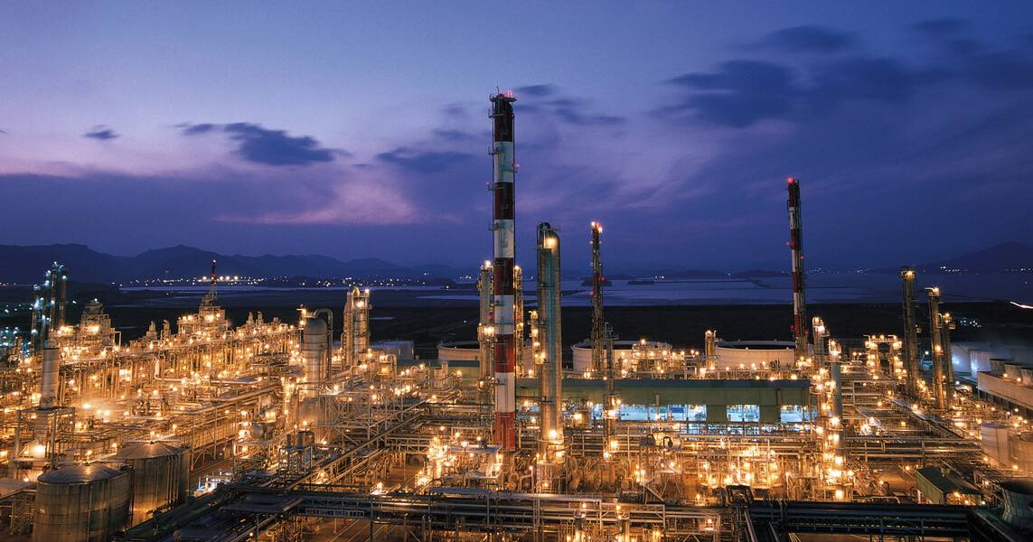 Effective Solutions for Preventing Bird Problems with Spikes Available on Amazon Online Store Effective Solutions for Preventing Bird Problems with Spikes Available on Amazon Online Store