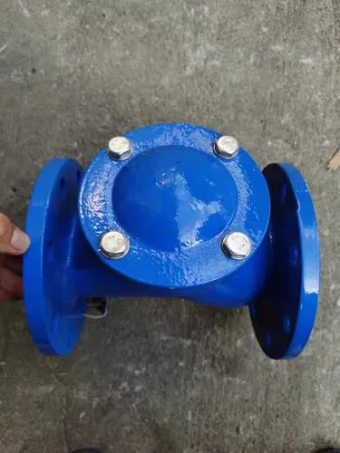 Bidirectional Flow Challenges in Globe Valve Systems