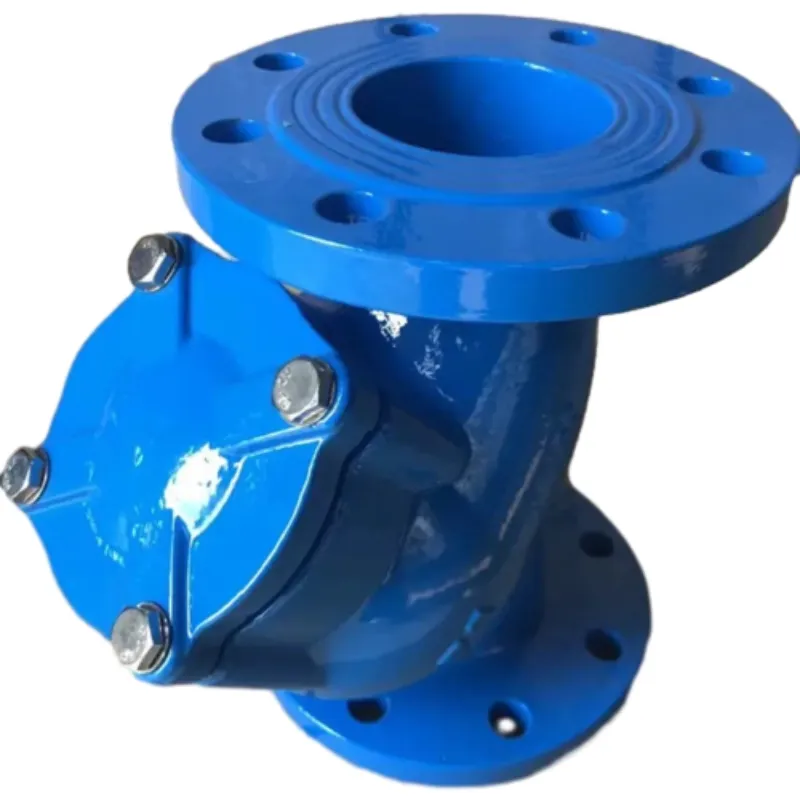 Y-Type Strainer: A Comprehensive Overview of Advanced Filtration Technology