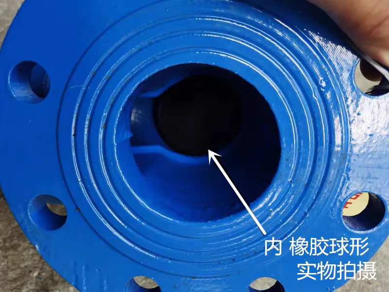 Ball Style Check Valve Maintenance