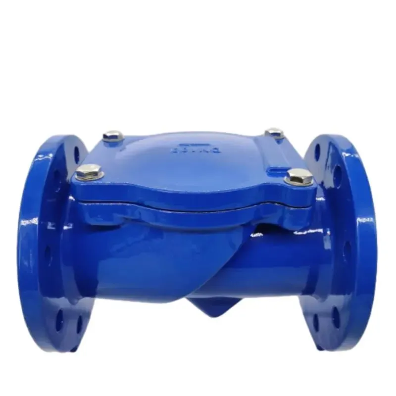 Rubber Flap Swing Check Valve: A Comprehensive Guide