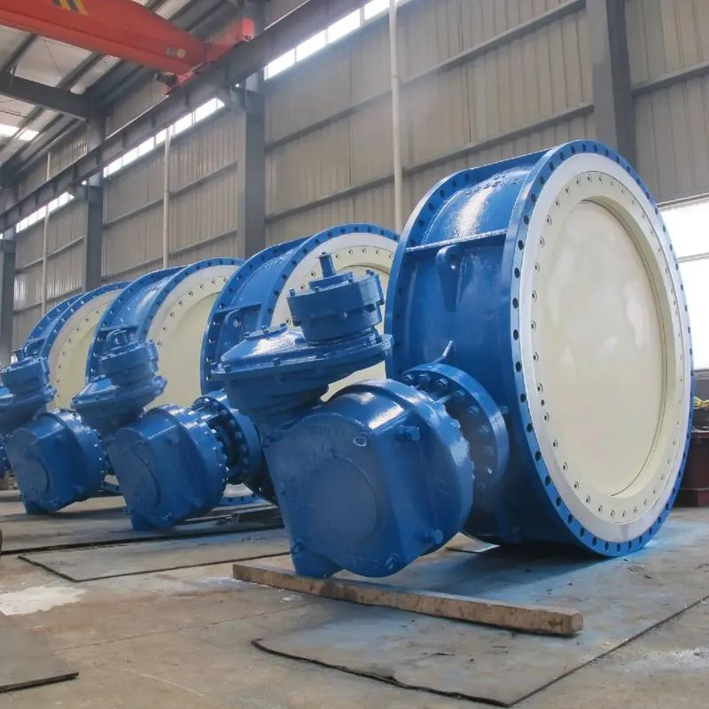 Understanding Butterfly and Globe Valves