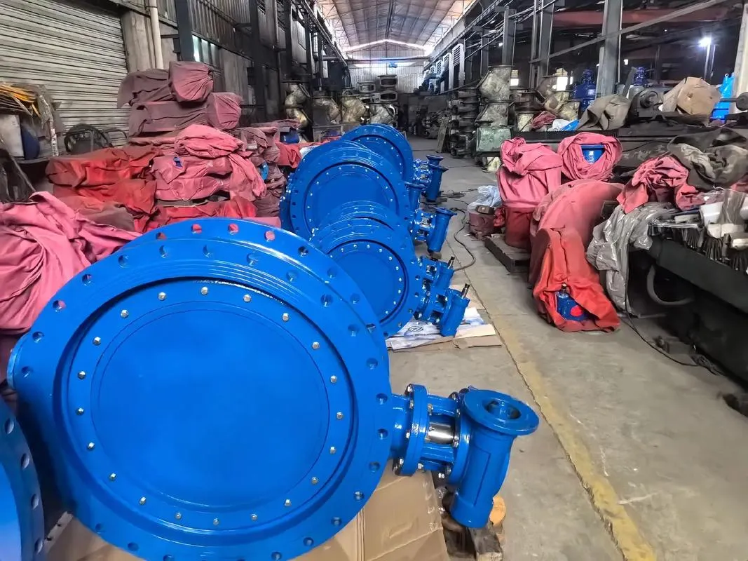 Water Valve Features for Efficient Flow Control