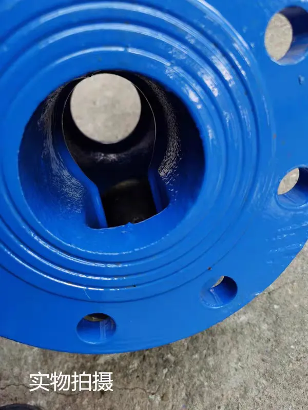 Ball Style Check Valve Maintenance