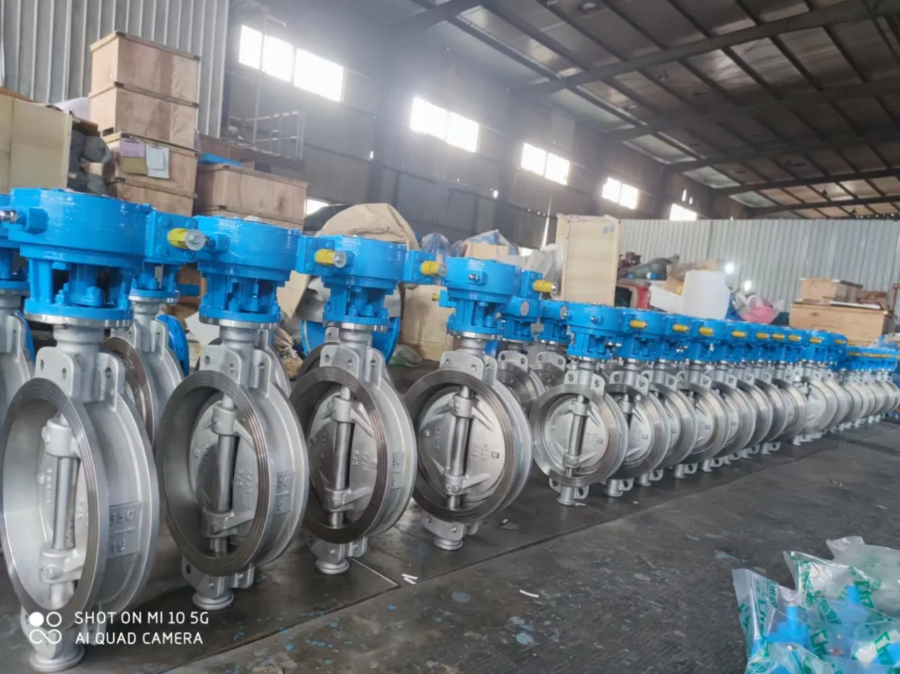 Butterfly Valve and Globe Valve Manual An Academic Overview