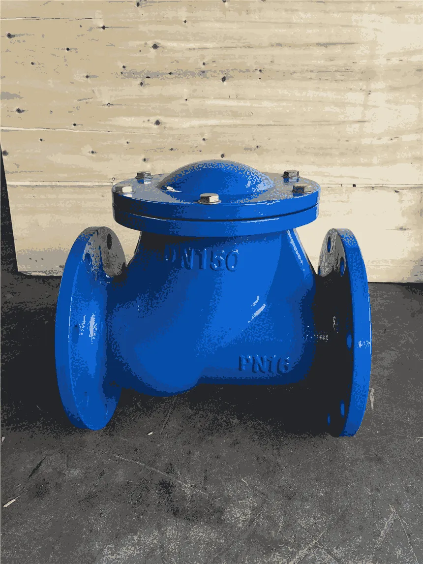 Ball Style Check Valve Maintenance