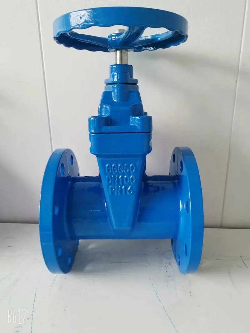 Globe Gate Valve Provides Precise Flow Regulation