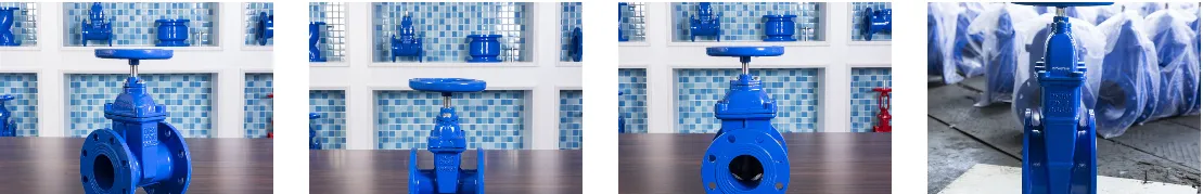 Gate Valve and Globe Valve