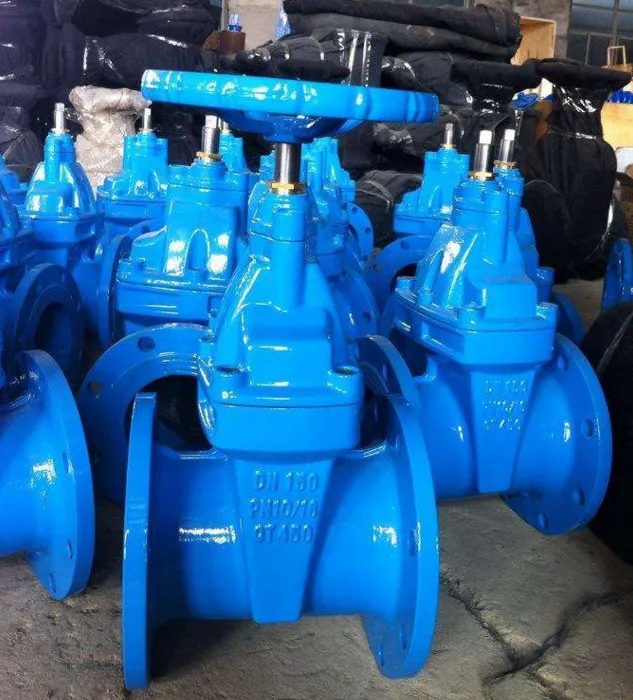 Finding the Varied World of Gate Valves