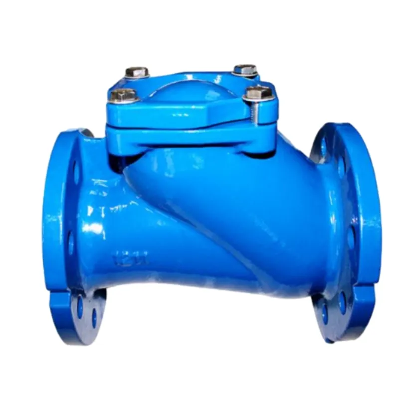 What Is a Ball Check Valve?