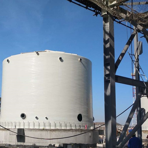 A Comprehensive Guide to Understanding Fungi and Their Impact on Our Environment