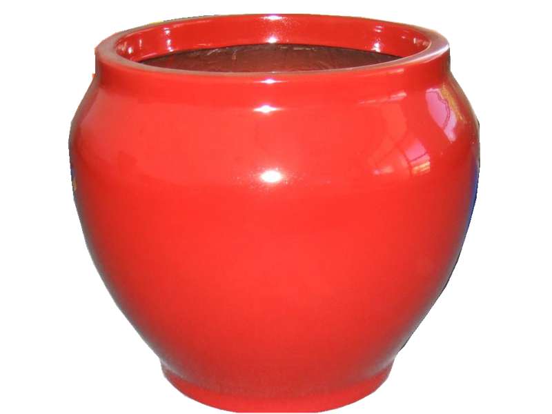 Exploring the Dynamics of FRP Transition and Its Implications for Future Applications