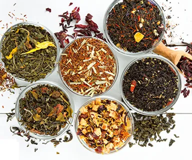 Best White Gravel Options for Enhancing Succulent Plant Aesthetics and Drainage Needs