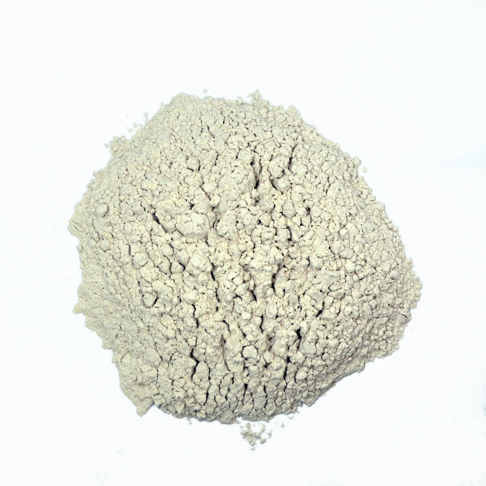 Bentonite Clay Manufacturer: Industrial Drilling Mud, Water Treatment and Premium Sodium Bentonite Cat Litter