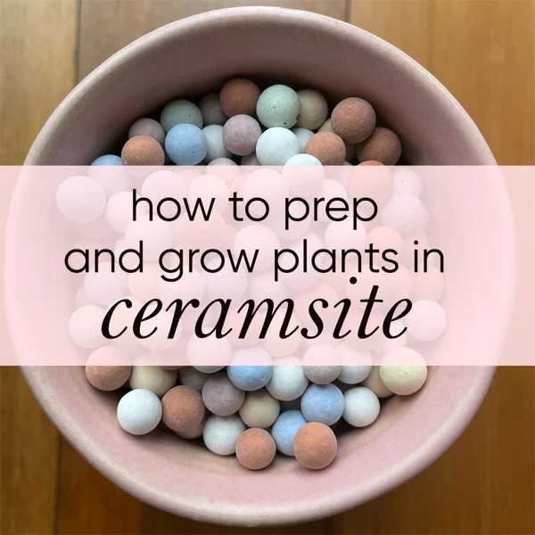 Top Chinese Manufacturers of High-Quality Iron Powder for Various Applications Top Chinese Manufacturers of High-Quality Iron Powder for Various Applications