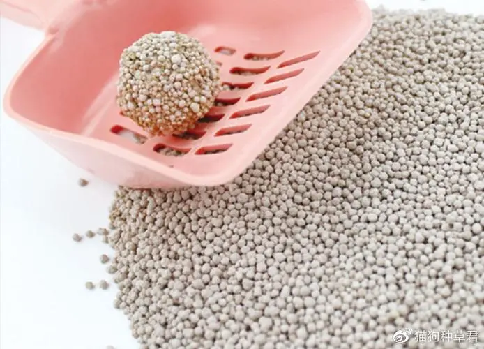 Personalized Clay Pebbles to Enhance Your Indoor Plant's Growth and Aesthetic Appeal