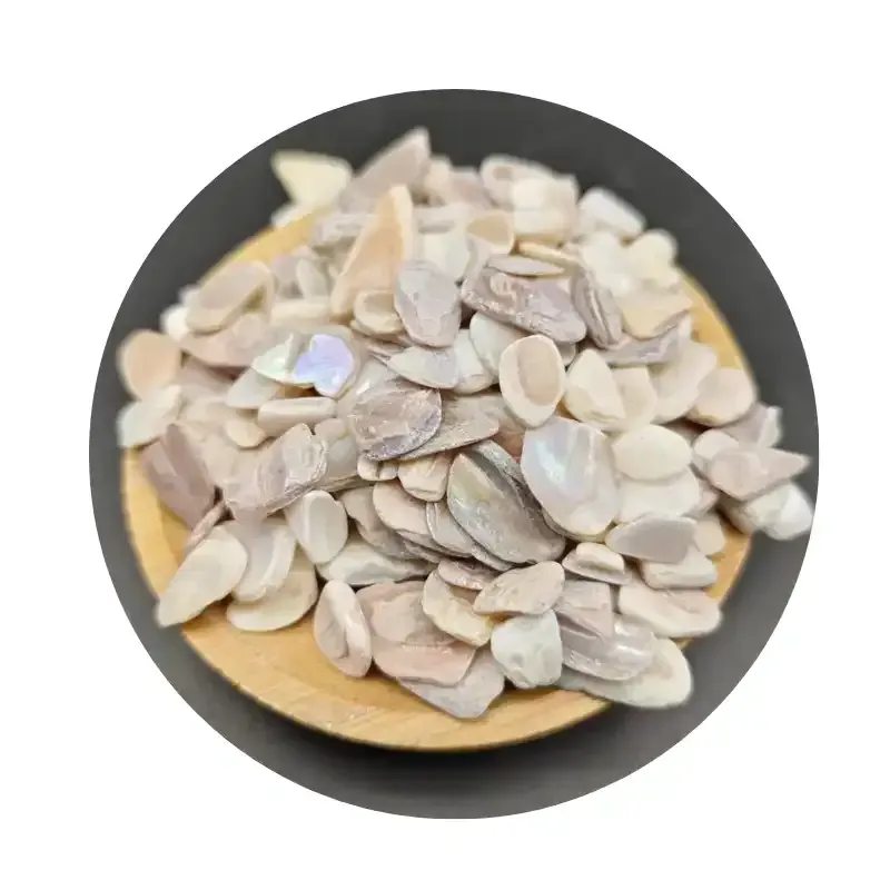 Shell sand is a common building material.