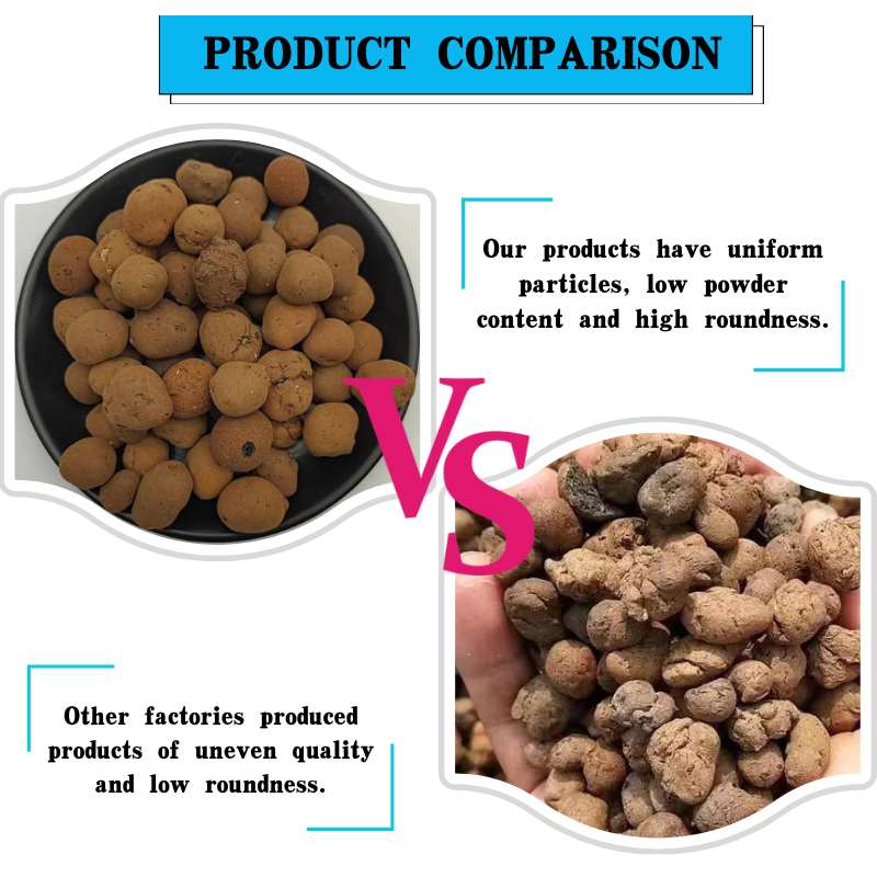 Exploring the Unique Features of Black Lava Volcanoes and Their Impact on Surrounding Environments