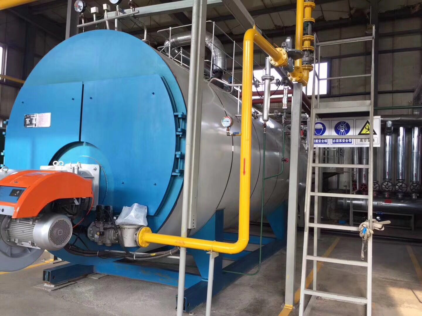 Top Performing Weil McLain Steam Boilers for Efficient Heating Solutions in Your Home