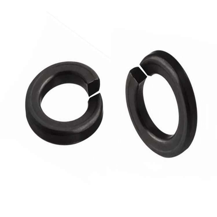 custom ss bolts motorcycle