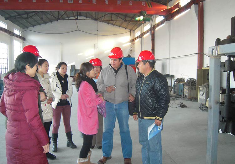 grade4.8 flange head bolts