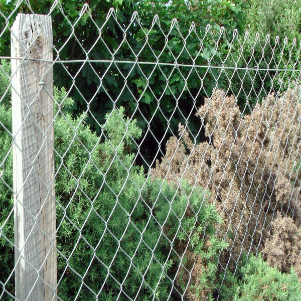 Galvanized Welded Wire Mesh Standards and Applications for Durable Fencing Solutions and Construction Uses