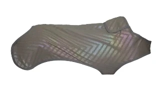 Benefits of Reflective Dog Coat for Night Walks