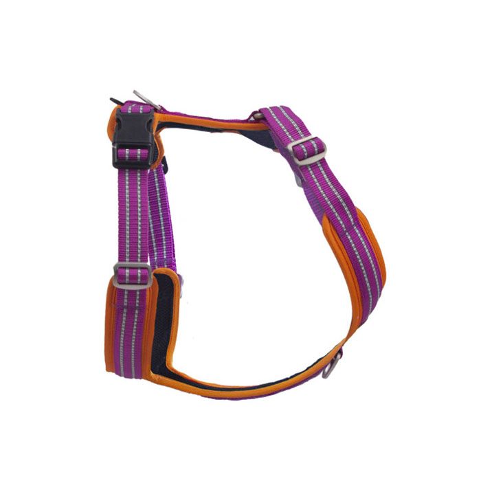 Kid Outdoor Pants for Dog Train Suppliers – Durable, Safe