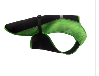 Pet Products Puppy Train Treat Bag: Essential Training Companion