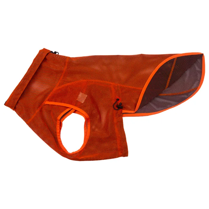 Essential Gear for Dog Training in Any Weather