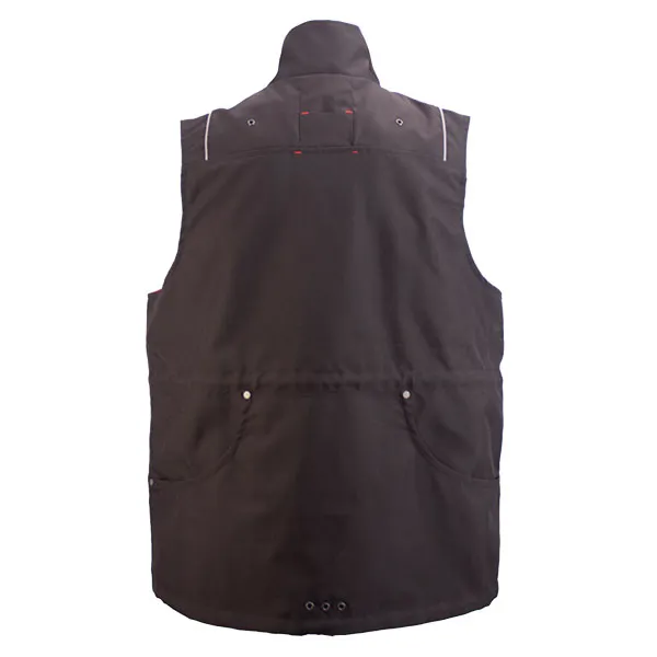 Must-Have Dog Walking Gear for Every Professional Dog Trainer