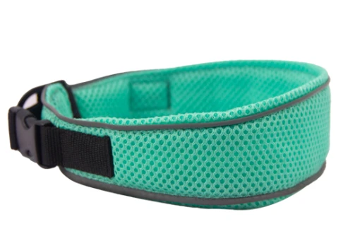 Adjustable Buckle Systems for Growing Puppies