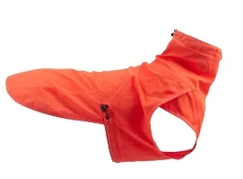 How to Choose Large Dog Coats for Winter