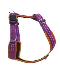 How a Safety Gear Reflective Dog Harness Can Save Your Pet's Life