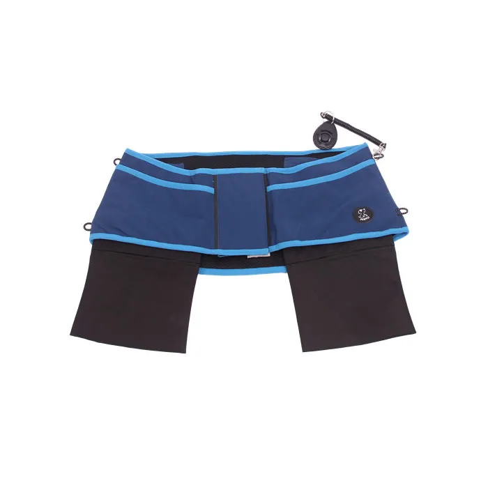 Dog Walking Gear Is Harness-Friendly