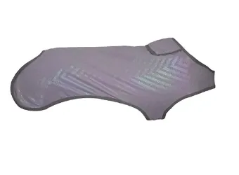 Fashion Meets Function: Pet Accessories Puppy Training Bag