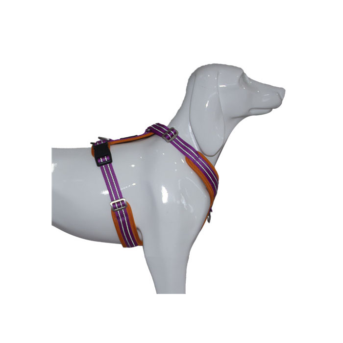 Kid Outdoor Pants for Dog Training - Top Suppliers