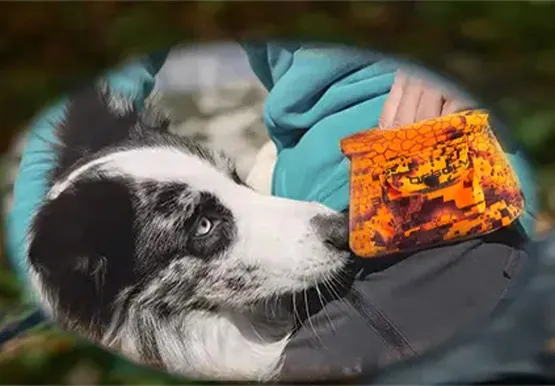 Supplier of Dog Evaporative Coats for Pet Products and Accessories