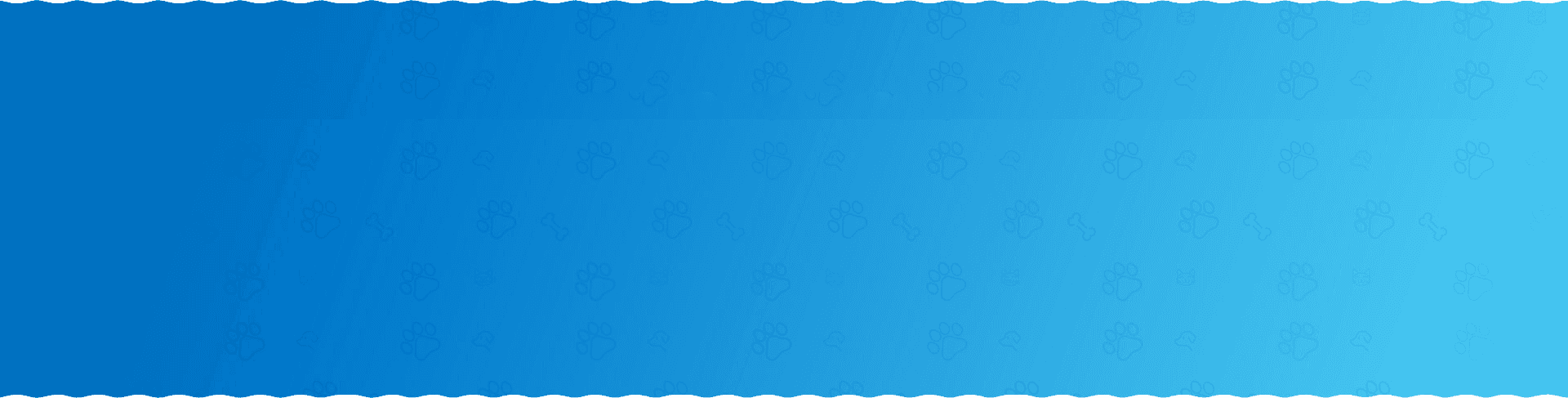 wholesale reflective puppy raincoat wholesale reflective puppy raincoat