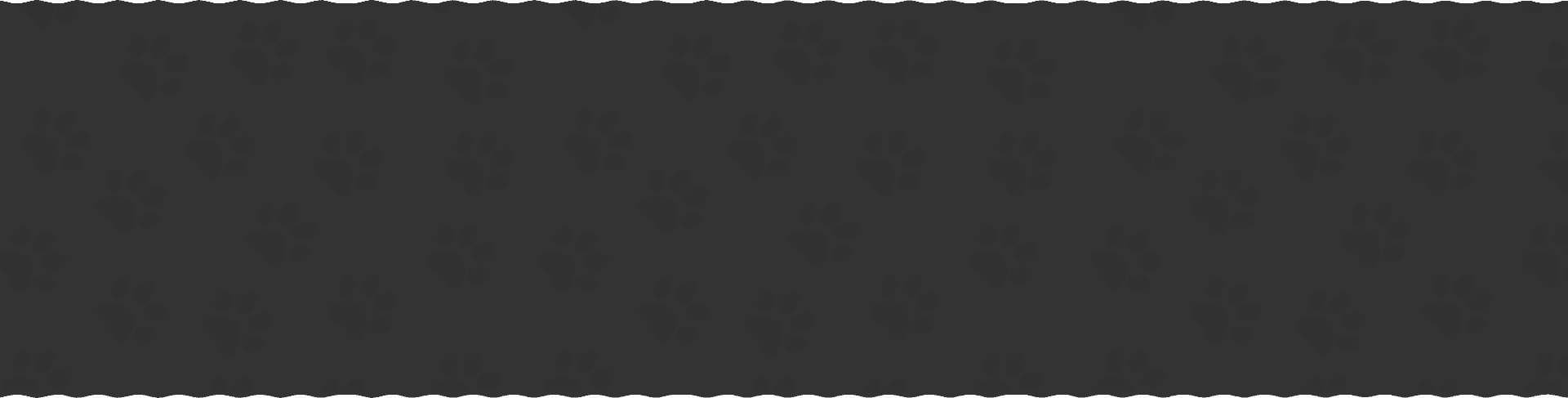 wholesale women winter coat for dog training