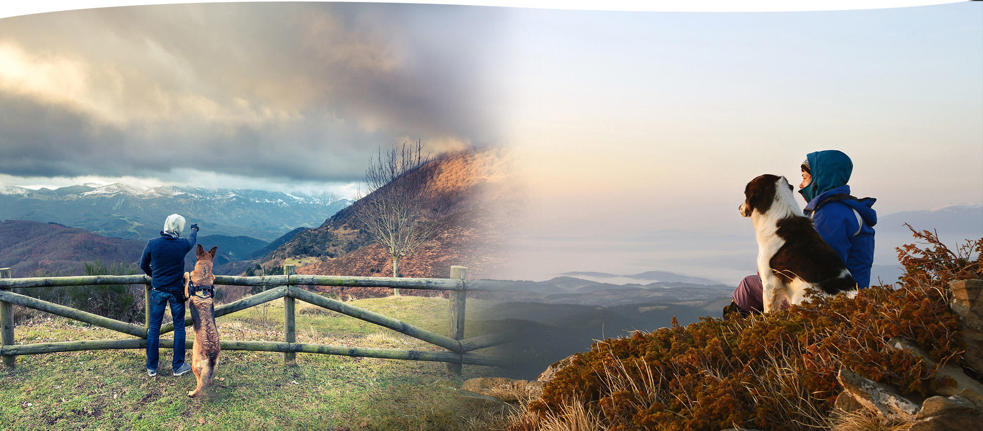 trainer parka for ladies factory