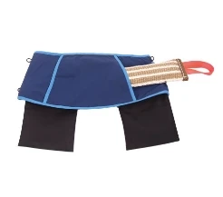 How to Choose the Right Girl Sports Waist Belt For Dog Train