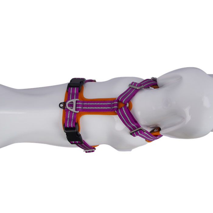 Kid Outdoor Pants for Dog Training - Top Suppliers