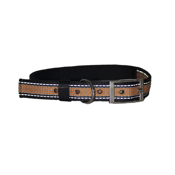 The Science Behind Clicker Training and Why Treat Pouches Improve Results