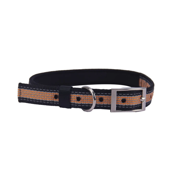 Safety Dog Collar ensures pet security