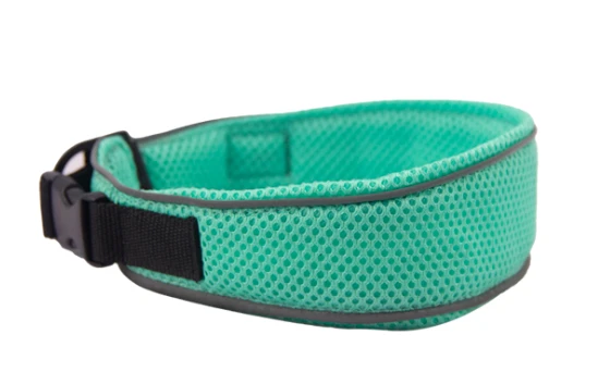 Neoprene Padding Comfort in Safety Dog Collars